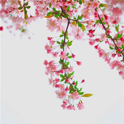 半岛·综合体育官方网站